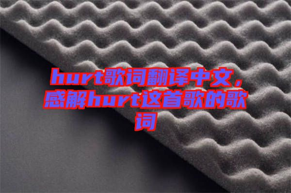 hurt歌詞翻譯中文，感解hurt這首歌的歌詞