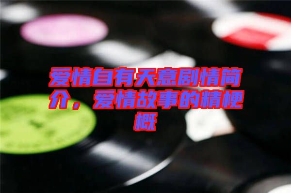 愛情自有天意劇情簡介，愛情故事的精梗概