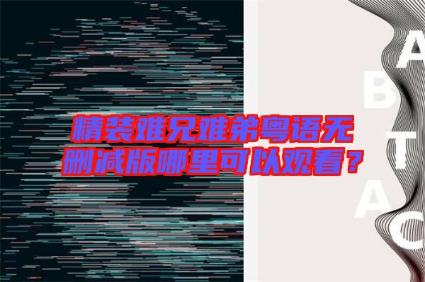 精裝難兄難弟粵語無刪減版哪里可以觀看？