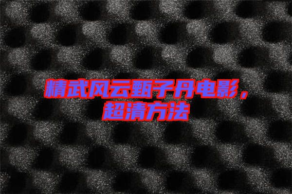 精武風(fēng)云甄子丹電影，超清方法