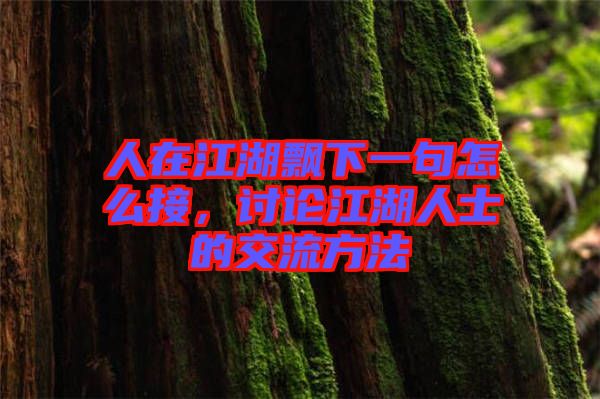 人在江湖飄下一句怎么接，討論江湖人士的交流方法