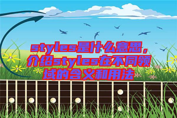 styles是什么意思，介紹styles在不同領(lǐng)域的含義和用法