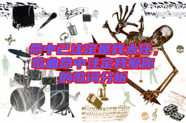 命中已注定是我太任，歌曲命中注定我愛你的歌詞分析