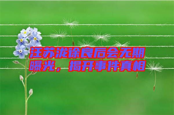 汪蘇瀧徐良后會無期曝光，揭開事件真相
