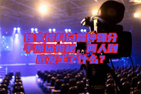 獨家爆料白霖鐘強分手原因揭秘，兩人到底發(fā)生了什么？