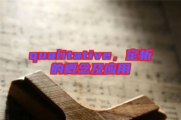 qualitative，定析的概念及應(yīng)用