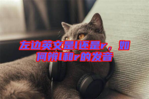 左邊英文是l還是r，如何辨l和r的發(fā)音