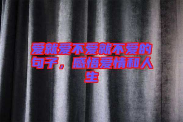 愛(ài)就愛(ài)不愛(ài)就不愛(ài)的句子，感悟愛(ài)情和人生