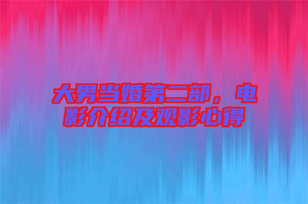 大男當(dāng)婚第二部，電影介紹及觀影心得