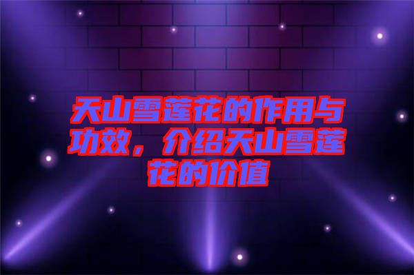 天山雪蓮花的作用與功效，介紹天山雪蓮花的價(jià)值