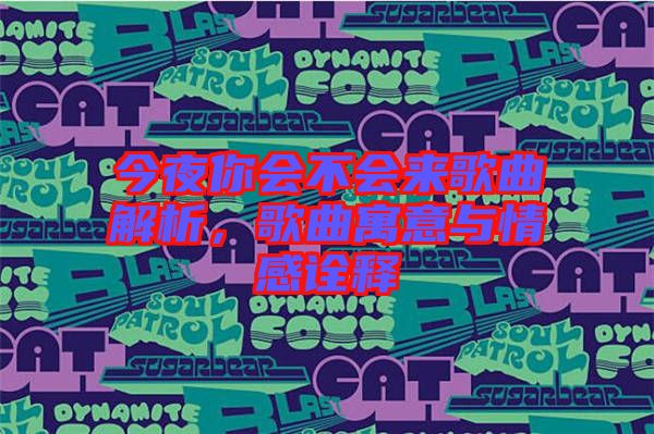 今夜你會不會來歌曲解析，歌曲寓意與情感詮釋