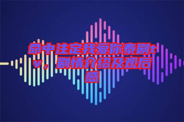 命中注定我愛(ài)你泰劇tv，劇情介紹及觀后感