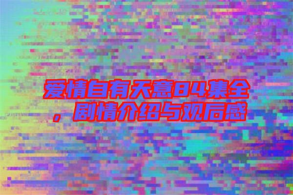 愛(ài)情自有天意84集全，劇情介紹與觀后感
