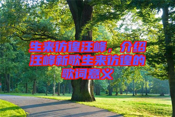 生來(lái)彷徨汪峰，介紹汪峰新歌生來(lái)彷徨的歌詞意義