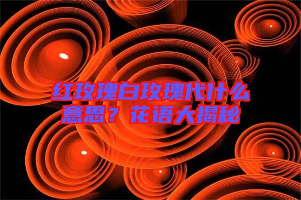 紅玫瑰白玫瑰代什么意思？花語(yǔ)大揭秘