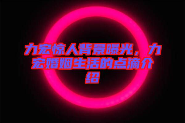 力宏驚人背景曝光，力宏婚姻生活的點滴介紹
