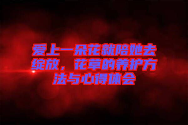 愛上一朵花就陪她去綻放，花草的養(yǎng)護方法與心得體會