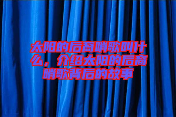 太陽的后裔哨歌叫什么，介紹太陽的后裔哨歌背后的故事
