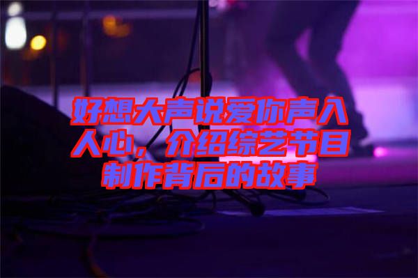 好想大聲說愛你聲入人心，介紹綜藝節(jié)目制作背后的故事
