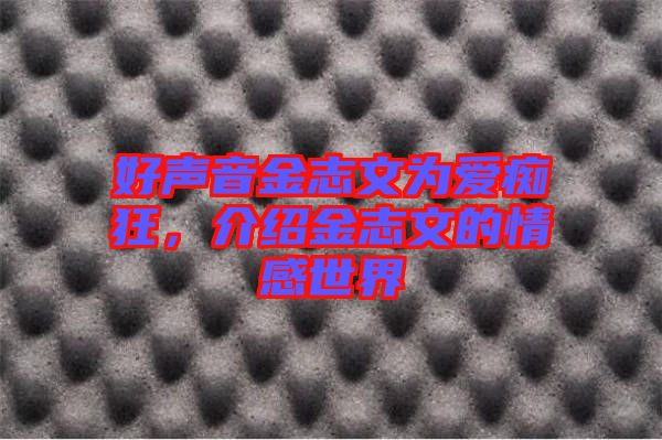 好聲音金志文為愛癡狂，介紹金志文的情感世界