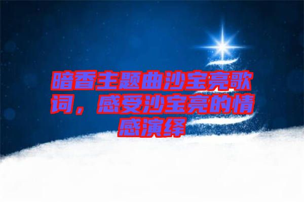 暗香主題曲沙寶亮歌詞，感受沙寶亮的情感演繹