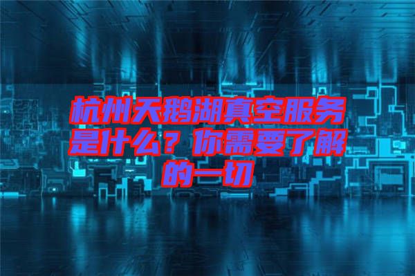 杭州天鵝湖真空服務是什么？你需要了解的一切