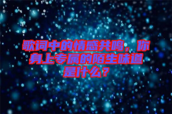 歌詞中的情感共鳴，你身上專屬的陌生味道是什么？