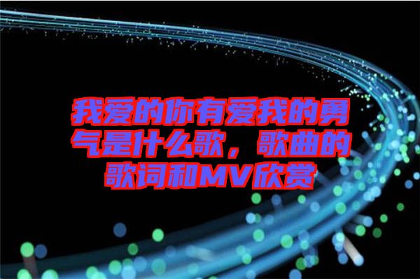 我愛的你有愛我的勇氣是什么歌，歌曲的歌詞和MV欣賞