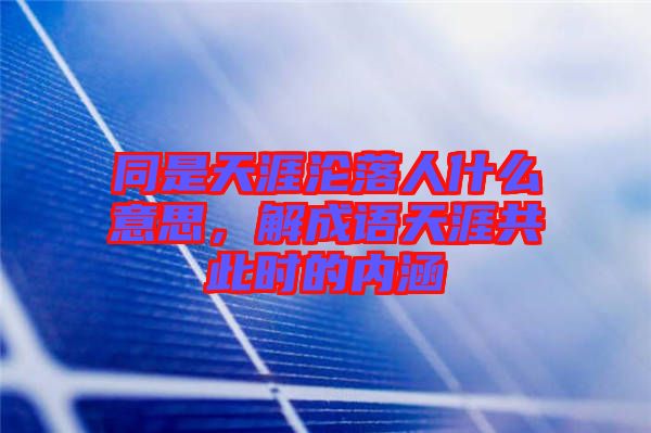 同是天涯淪落人什么意思，解成語天涯共此時(shí)的內(nèi)涵