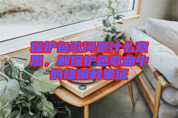 保護(hù)色歌詞是什么意思，解保護(hù)色歌曲中的隱喻和象征