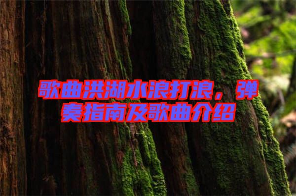 歌曲洪湖水浪打浪，彈奏指南及歌曲介紹