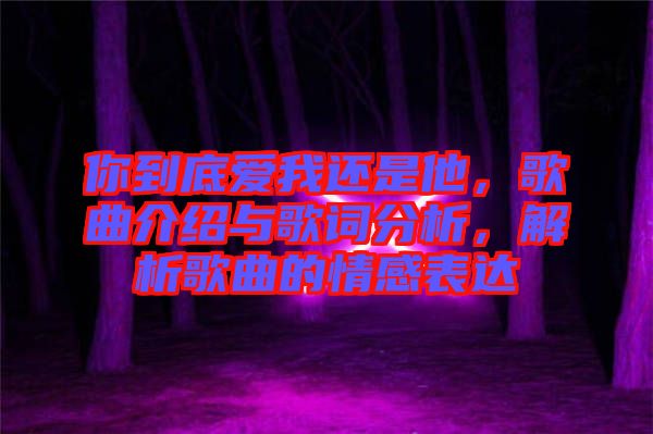 你到底愛(ài)我還是他，歌曲介紹與歌詞分析，解析歌曲的情感表達(dá)