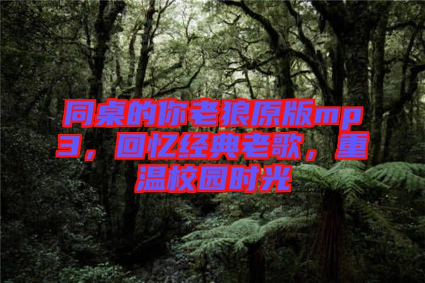 同桌的你老狼原版mp3，回憶經(jīng)典老歌，重溫校園時光
