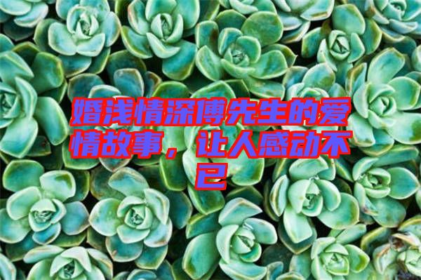 婚淺情深傅先生的愛情故事，讓人感動不已