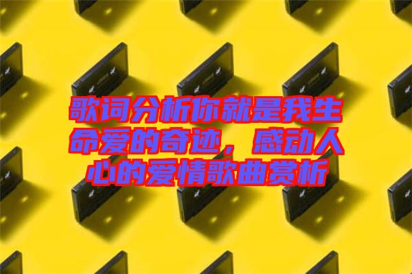 歌詞分析你就是我生命愛(ài)的奇跡，感動(dòng)人心的愛(ài)情歌曲賞析