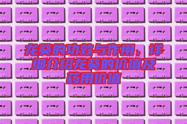 龍葵的功效與作用，詳細(xì)介紹龍葵的價(jià)值及藥用價(jià)值