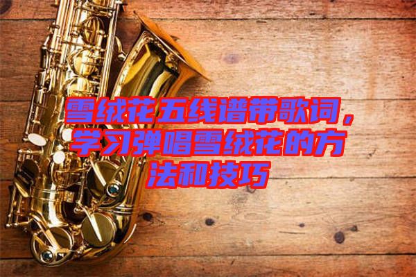 雪絨花五線譜帶歌詞，學(xué)習(xí)彈唱雪絨花的方法和技巧