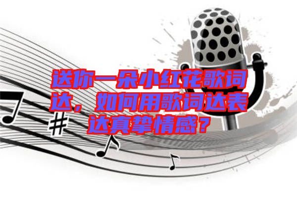 送你一朵小紅花歌詞達(dá)，如何用歌詞達(dá)表達(dá)真摯情感？