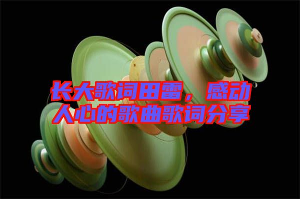 長大歌詞田雷，感動人心的歌曲歌詞分享