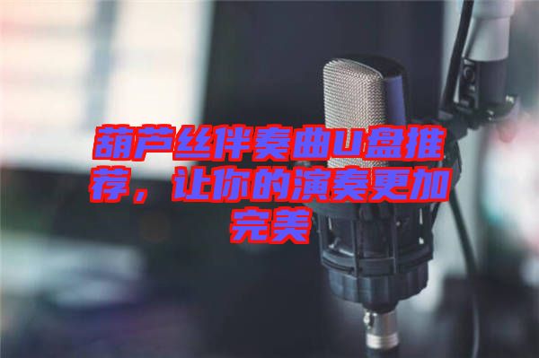 葫蘆絲伴奏曲U盤(pán)推薦，讓你的演奏更加完美
