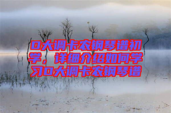 D大調(diào)卡農(nóng)鋼琴譜初學(xué)，詳細介紹如何學(xué)習D大調(diào)卡農(nóng)鋼琴譜
