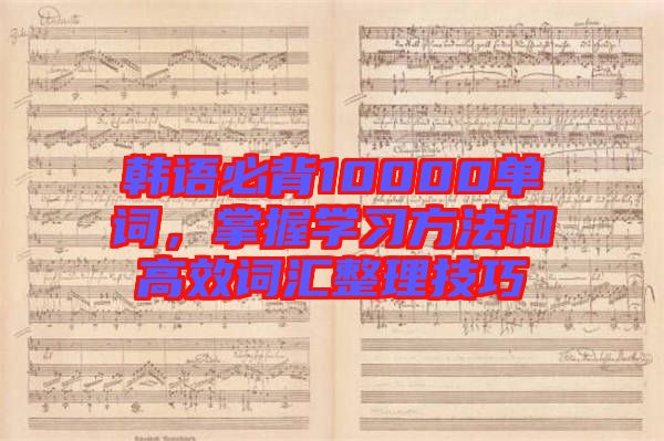 韓語必背10000單詞，掌握學(xué)習(xí)方法和高效詞匯整理技巧