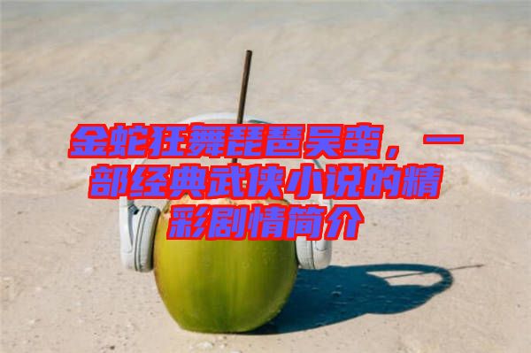 金蛇狂舞琵琶吳蠻，一部經(jīng)典武俠小說的精彩劇情簡介