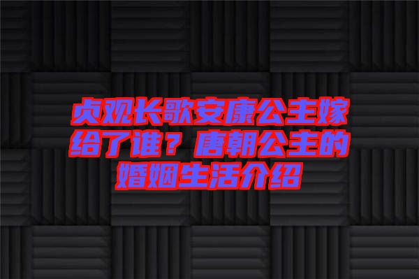 貞觀長(zhǎng)歌安康公主嫁給了誰(shuí)？唐朝公主的婚姻生活介紹