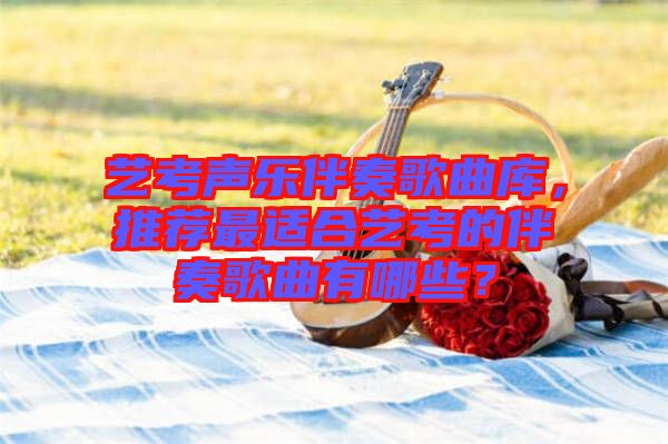 藝考聲樂(lè)伴奏歌曲庫(kù)，推薦最適合藝考的伴奏歌曲有哪些？