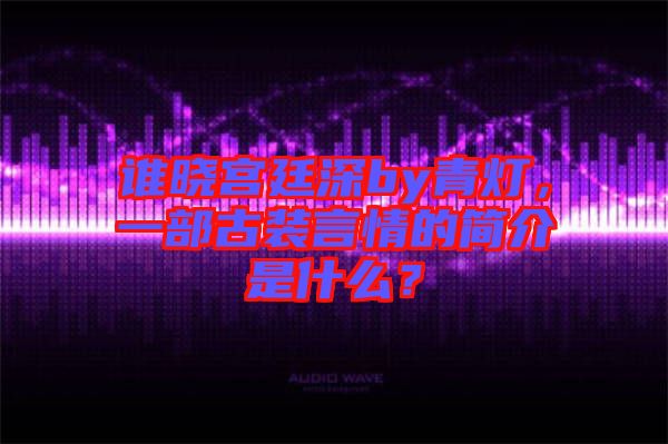 誰曉宮廷深by青燈，一部古裝言情的簡介是什么？