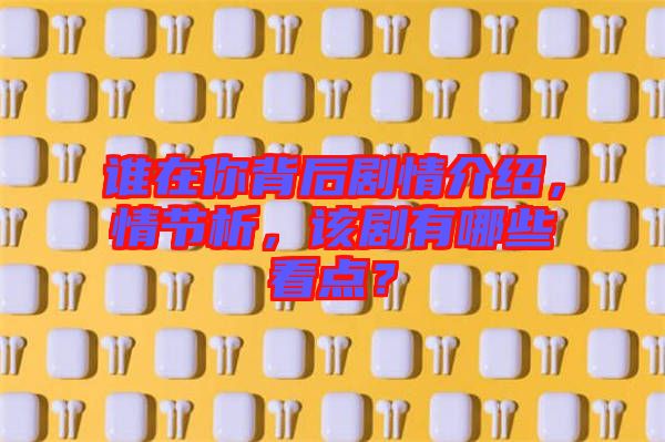 誰在你背后劇情介紹，情節(jié)析，該劇有哪些看點(diǎn)？