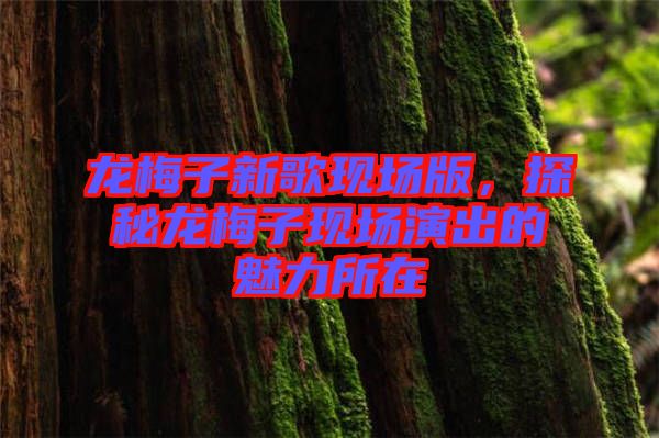 龍梅子新歌現(xiàn)場版，探秘龍梅子現(xiàn)場演出的魅力所在