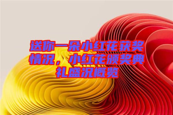 送你一朵小紅花獲獎(jiǎng)情況，小紅花頒獎(jiǎng)典禮盛況概覽