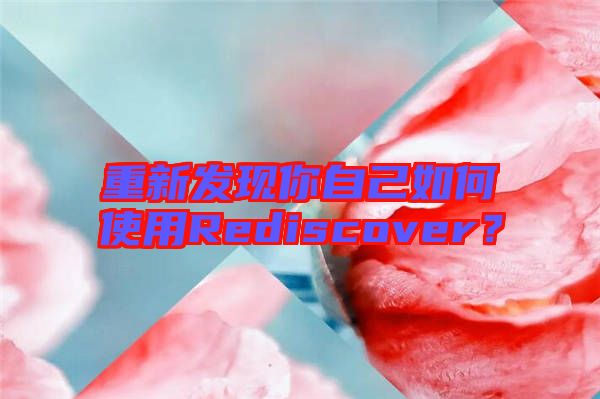 重新發(fā)現(xiàn)你自己如何使用Rediscover？